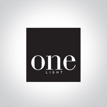 ONE Light Accessory 060020A