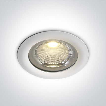 ONE Light | 10150G/W/W WHITE LED 50W WW IP65 60d 230V - OEM NORDIC - Quality Parts Distribution
