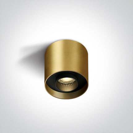 ONE Light Accessory 8W 560lm 3000K CRI90 24° IP20 Brushed Brass 12108D/BBS/W