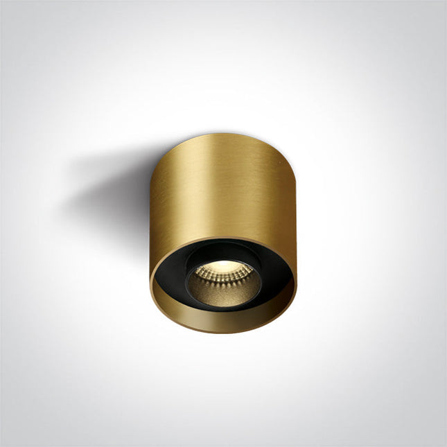 ONE Light Accessory 8W 560lm 3000K CRI90 24° IP20 Brushed Brass 12108D/BBS/W