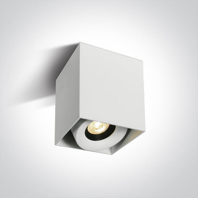 ONE Light Accessory 8W 640lm 3000K CRI90 36° IP20 White 12108XA/W/W