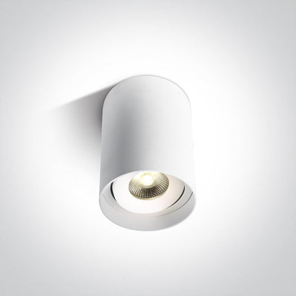 ONE Light Accessory 10W 800lm 3000K CRI90 36° IP20 White 12110D/W/W