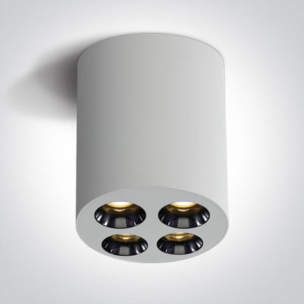 ONE Light Accessory 10W 700lm 3000K CRI90 38° IP20 White 12110H/W/W