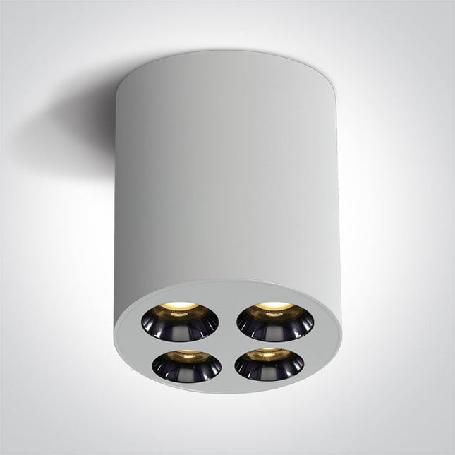 ONE Light Accessory 10W 700lm 3000K CRI90 38° IP20 White 12110H/W/W