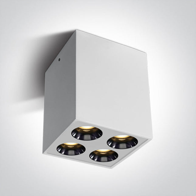 ONE Light Accessory 10W 700lm 3000K CRI90 38° IP20 White 12110HB/W/W
