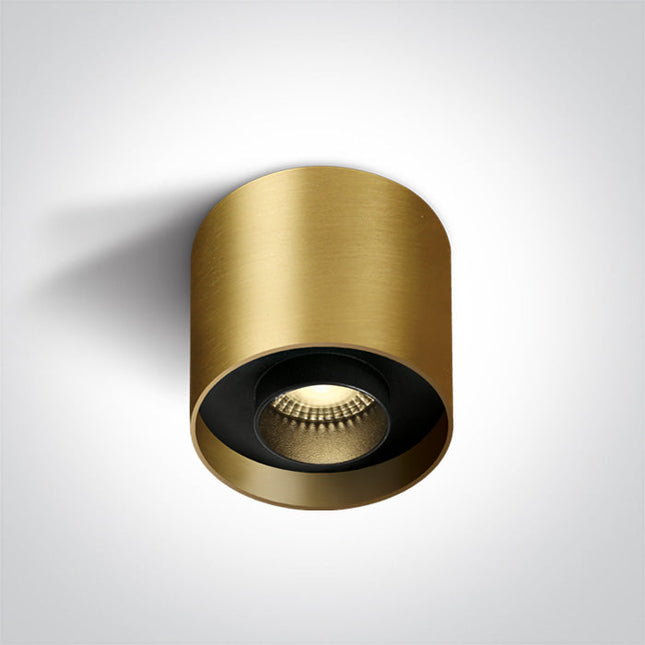ONE Light Accessory 22W 1540lm 3000K CRI90 24° IP20 Brushed Brass 12122D/BBS/W