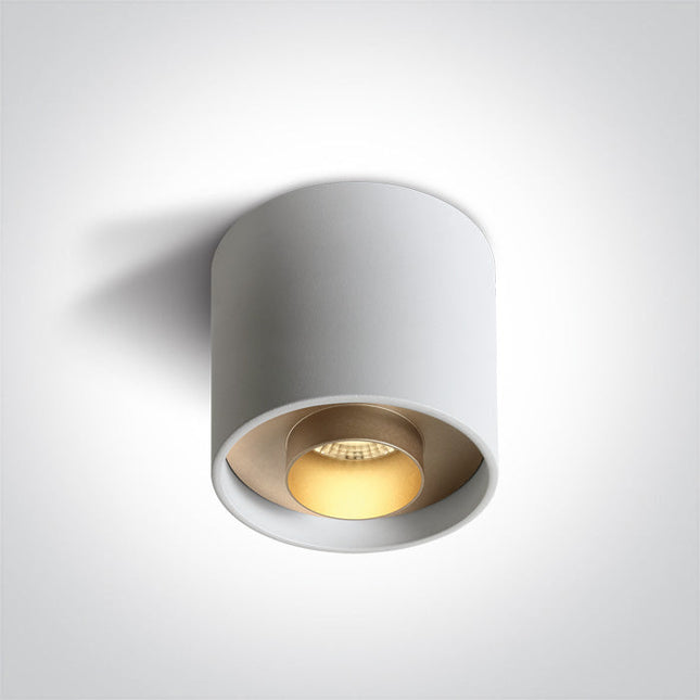 ONE Light Accessory 22W 1540lm 3000K CRI90 24° IP20 White 12122D/W/W