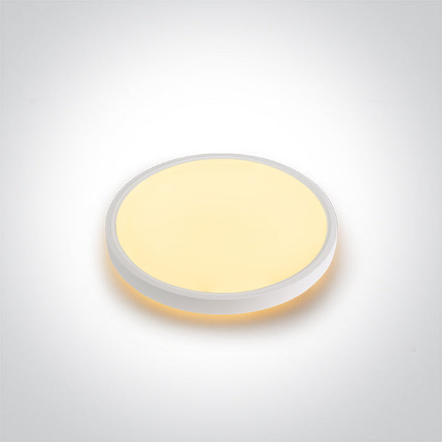 ONE Light Accessory 30W 2880lm CRI90 IP20 White 62002B/W/V