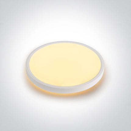 ONE Light Accessory 38W 3400lm CRI90 IP20 White 62002C/W/V