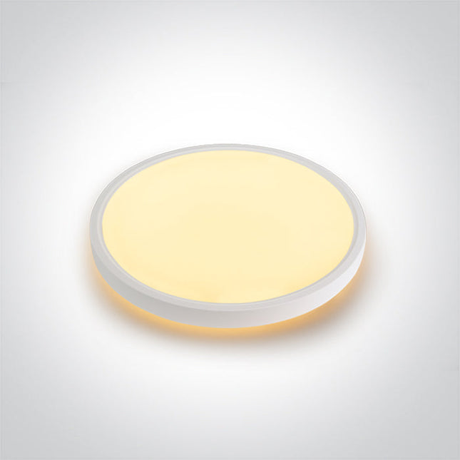 ONE Light Accessory 38W 3400lm CRI90 IP20 White 62002C/W/V
