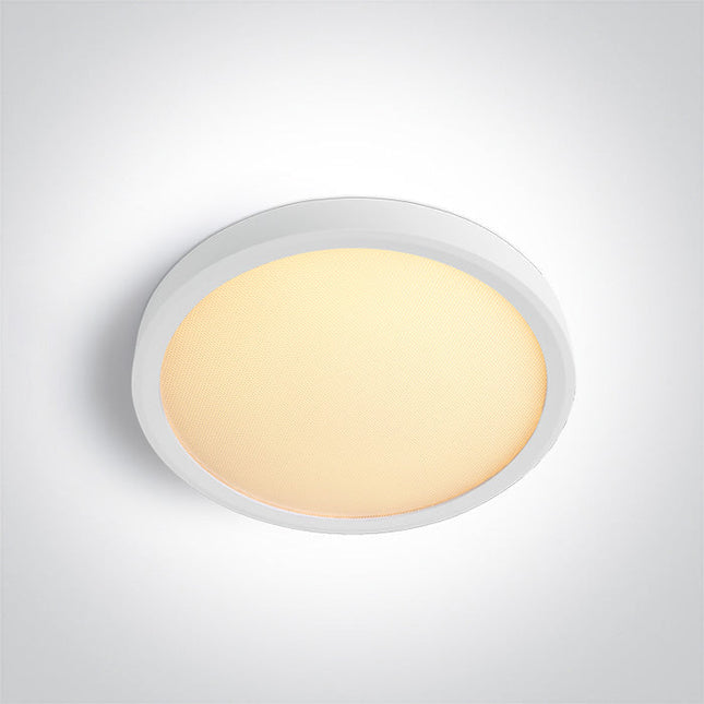 ONE Light Accessory 12W 1020lm CRI90 IP20 White 62020AU/W/V