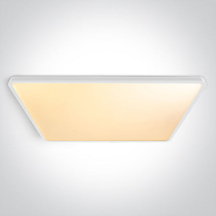 ONE Light Accessory 60W 4200lm CRI90 IP20 White 62020PU/W/V