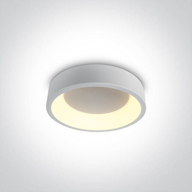 ONE Light Accessory 20W 1700lm 2700K-3000K-4000K CRI90 120° IP20 White 62130N/W/V