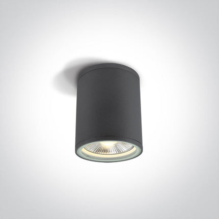 ONE Light | 67132C/AN ANTHRACITE CYLINDER PAR30 E27 20W IP54 - OEM NORDIC - Quality Parts Distribution
