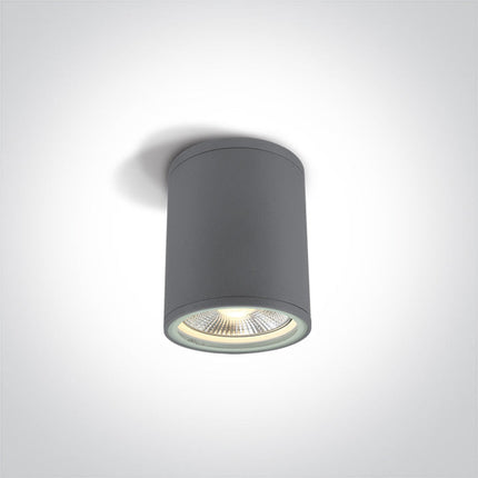 ONE Light | 67132C/G GREY CYLINDER PAR30 E27 20W IP54 - OEM NORDIC - Quality Parts Distribution