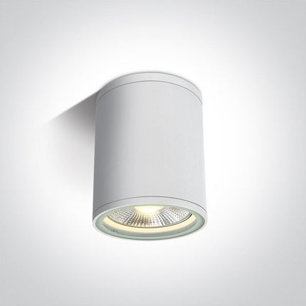 ONE Light Accessory 20W IP54 White 67132C/W