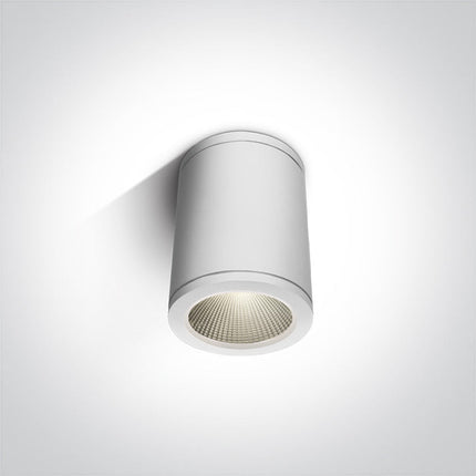 ONE Light Accessory 6W 440lm 3000K CRI80 35° IP54 White 67138C/W/W