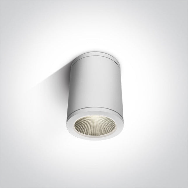 ONE Light Accessory 6W 440lm 3000K CRI80 35° IP54 White 67138C/W/W