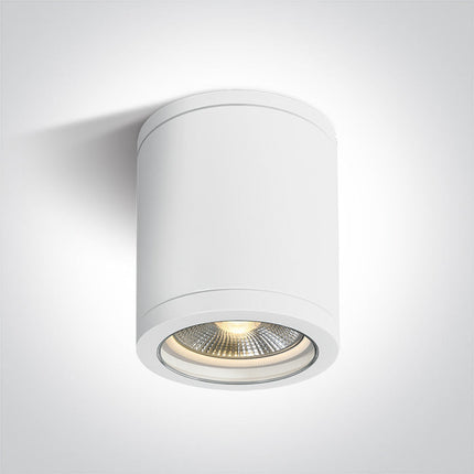 ONE Light Accessory 10W IP65 White 67142C/W