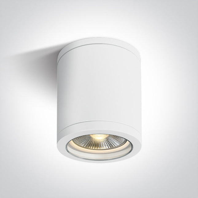 ONE Light Accessory 10W IP65 White 67142C/W
