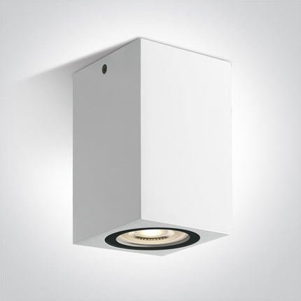 ONE Light Accessory 6W IP65 White 67142D/W