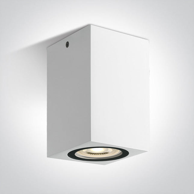 ONE Light Accessory 6W IP65 White 67142D/W