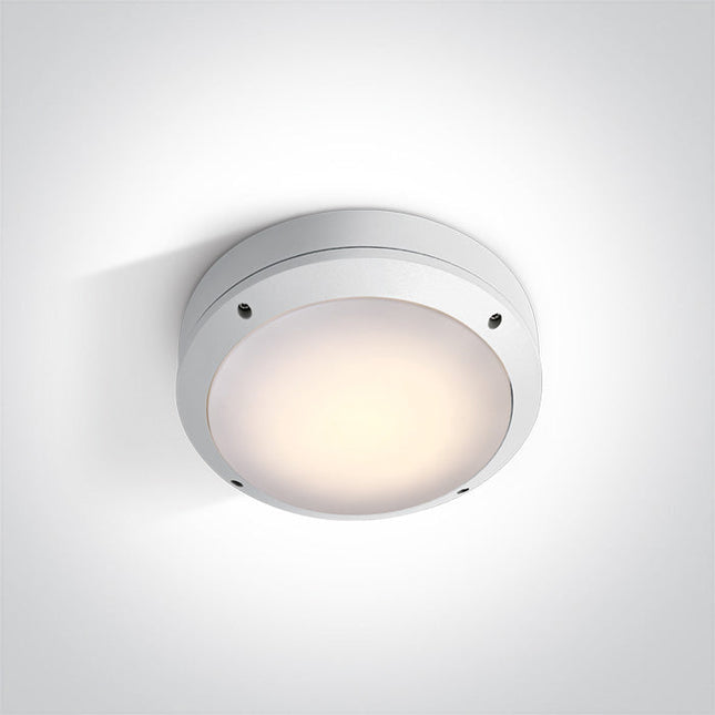 ONE Light Accessory 12W IP54 White 67204/W