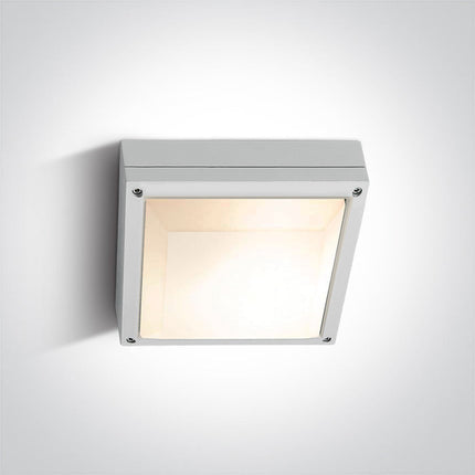 ONE Light Accessory 2W IP54 White 67210/W