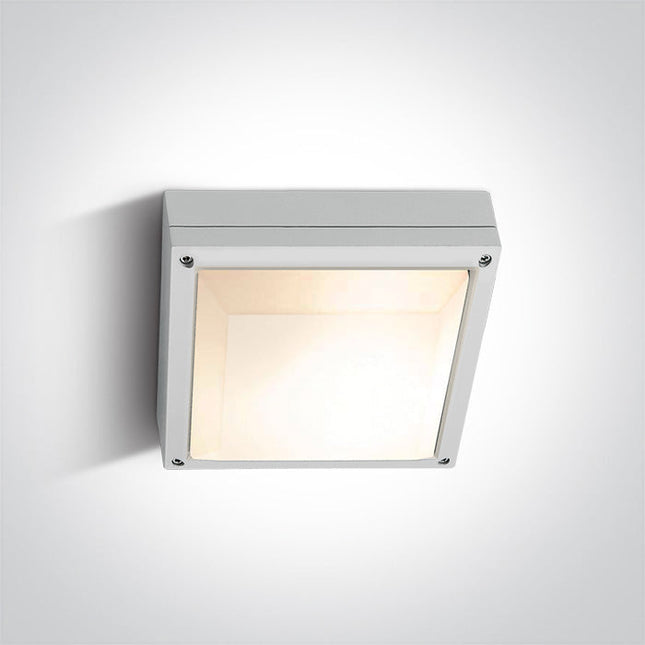 ONE Light Accessory 2W IP54 White 67210/W