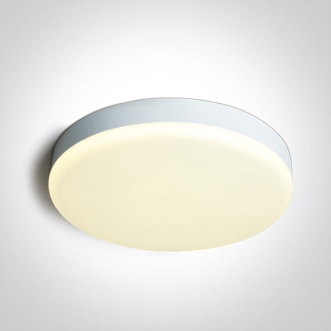 ONE Light Accessory 35W 3675lm 3000K-4000K-6000K CRI80 IP65 White 67220B/W/V