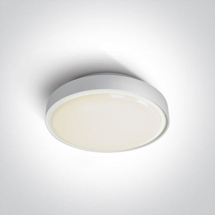 ONE Light Accessory 12W IP65 White 67280E/W