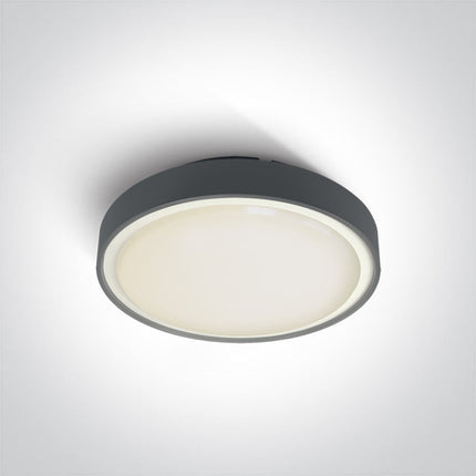 ONE Light Accessory 2W IP65 Anthracite 67280EA/AN