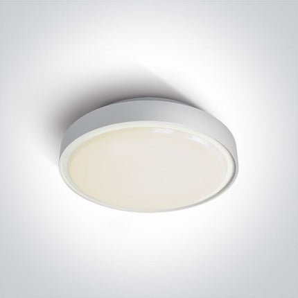 ONE Light Accessory 2W IP65 White 67280EA/W