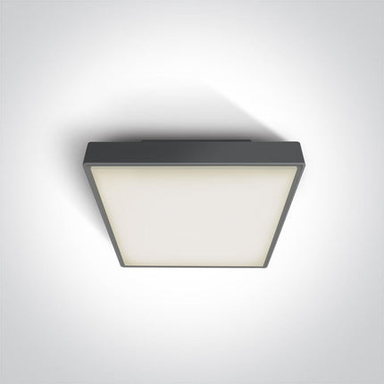 ONE Light Accessory 12W IP65 Anthracite 67282E/AN