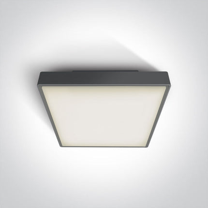 ONE Light Accessory 2W IP65 Anthracite 67282EA/AN