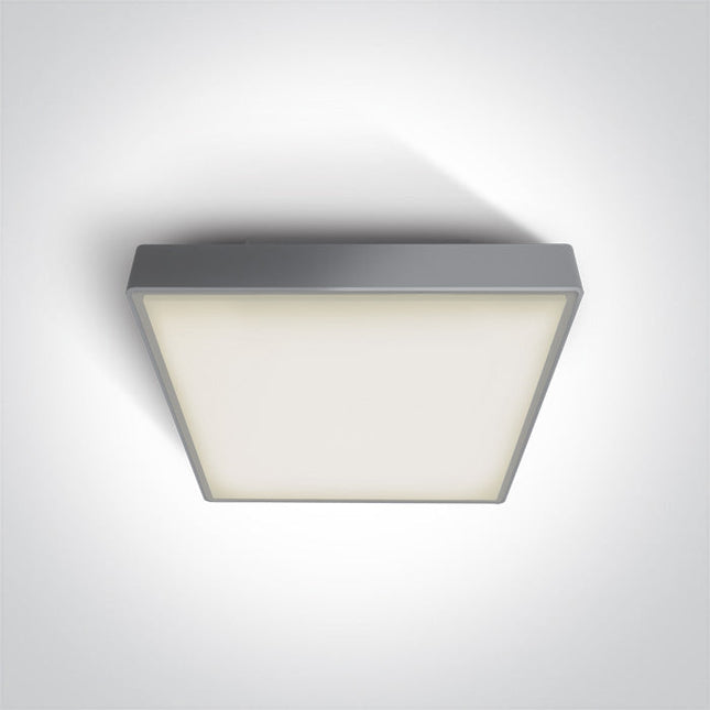 ONE Light Accessory 2W IP65 Grey 67282EA/G