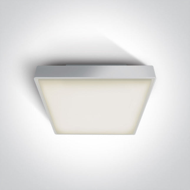 ONE Light Accessory 2W IP65 White 67282EA/W