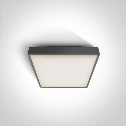 ONE Light Accessory 16W 960lm 3000K CRI80 IP65 Anthracite 67282N/AN/W