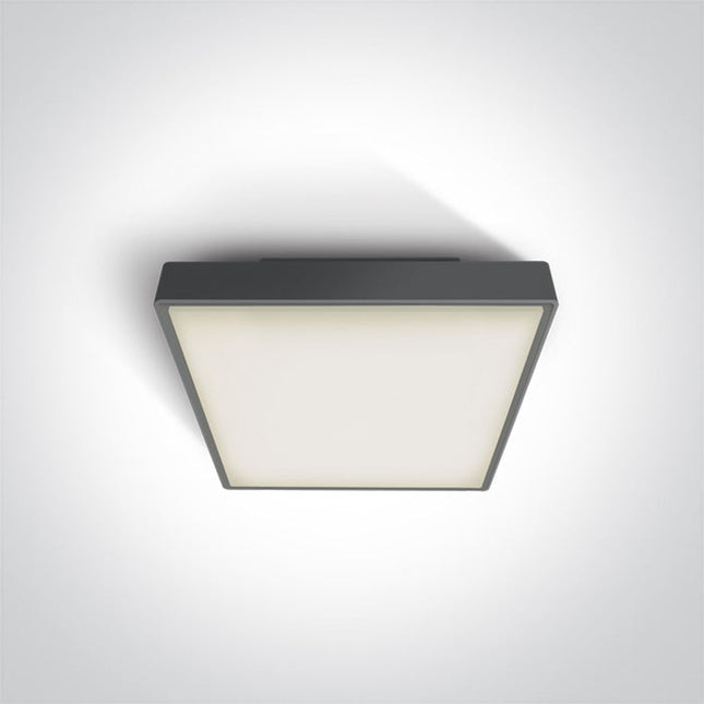 ONE Light Accessory 16W 960lm 3000K CRI80 IP65 Anthracite 67282N/AN/W