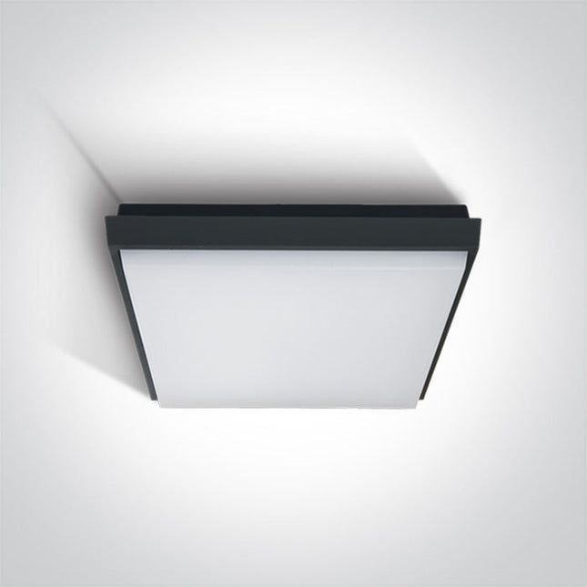 ONE Light Accessory 30W 2500lm 3000K CRI80 120° IP54 Anthracite 67363A/AN/W