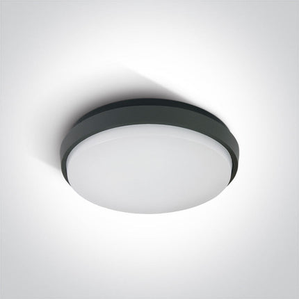 ONE Light Accessory 30W 2500lm 3000K CRI80 120° IP54 Anthracite 67363/AN/W