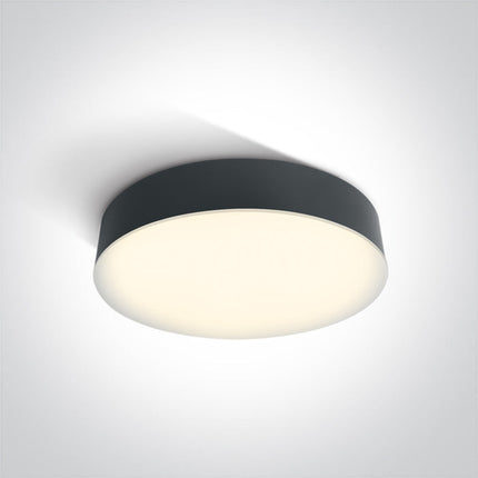 ONE Light Accessory 21W 1300lm 3000K CRI80 IP65 Anthracite 67390/AN/W