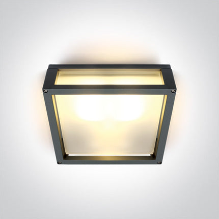 ONE Light Accessory 2W IP54 Anthracite 67420B/AN
