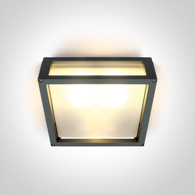 ONE Light Accessory 2W IP54 Anthracite 67420B/AN