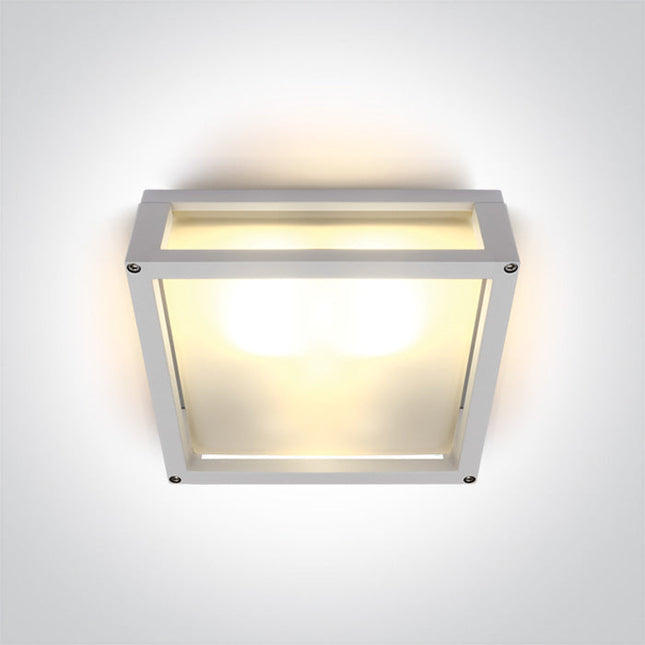 ONE Light Accessory 2W IP54 White 67420B/W