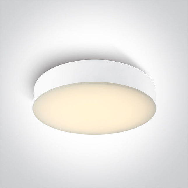 ONE Light Accessory 20W 1300lm 3000K-4000K-6500K CRI80 IP65 White 67498/W/V