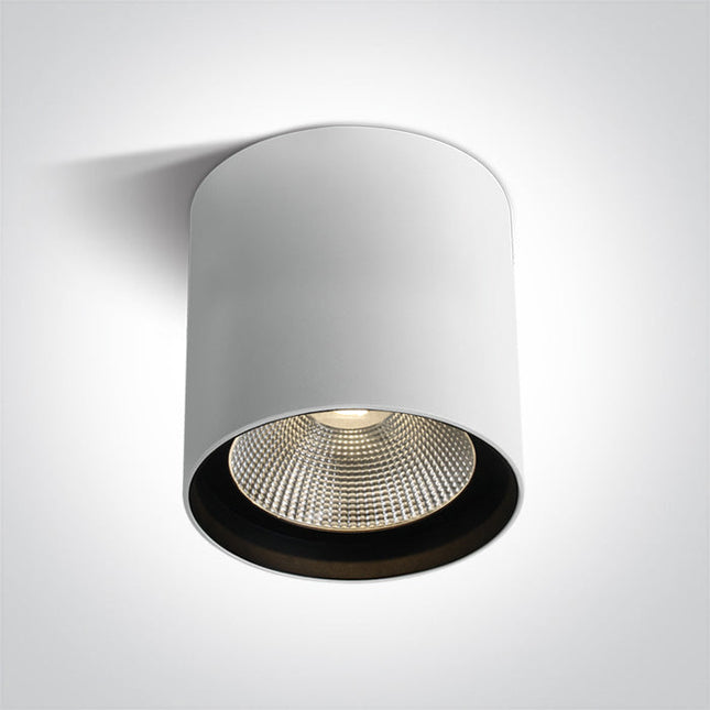 ONE Light Accessory 40W 3200lm 3000K CRI90 40° IP65 White 67516C/W/W