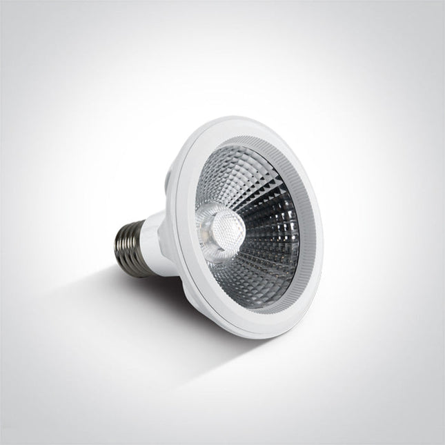 ONE Light Accessory 750lm 4000K CRI90 40º 7310H/C